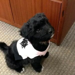 Meet your Posher, Lisa